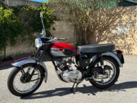 Triumph